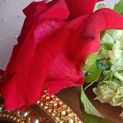 SaniyaKhat41682's profile picture. 🍁😚 দুনিয়ার সকল নিয়ম ভেঙে হলেও আমার তোমাকেই লাগবে প্রিয় 🤗🌻