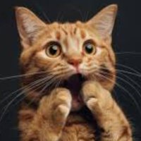 Hureirah (@danishd) 's Twitter Profile