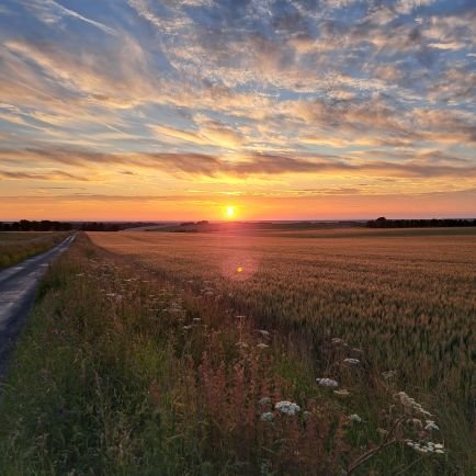 Watton& District Agricultural Discussion Group new account. Meeting monthly November-March. A range of speakers & topics for thought provoking rural discussion