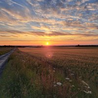 Watton Discussion Group (@wattonagdiscuss) 's Twitter Profile Photo Watton Discussion Group (@wattonagdiscuss) 's Twitter Profile Photo