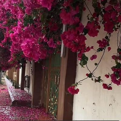 om_bnbon's profile picture. ام لاطفال ارى الحياه بأعينهم💕😘