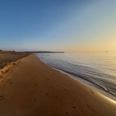 ekamil04's profile picture. The purpose of life is to find the purpose of life 》 Fitness 🏋️‍♂️🏊‍♂️🏃‍♂️》Nutrition 🥩🍳🍏》 Reading 📖》 Travel 🌍✈》 Relax, get some sun & enjoy life🧘‍♂️🛌☀