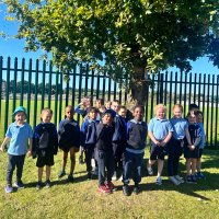 Aoife Hardiman (@mshardimanscmj) 's Twitter Profile