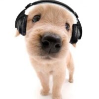 #1 puppyboy lesbian (@kuzoux) 's Twitter Profile Photo #1 puppyboy lesbian (@kuzoux) 's Twitter Profile Photo