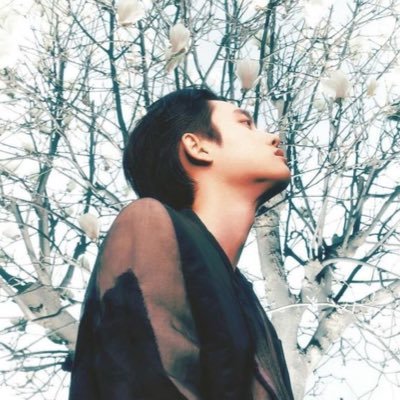 suy ° nさんのプロフィール画像