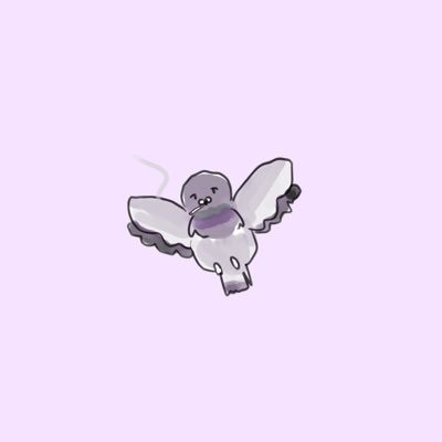 ぷまるさんのプロフィール画像