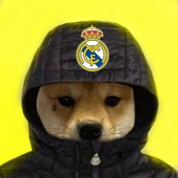 james sang (@jsang6411) 's Twitter Profile
