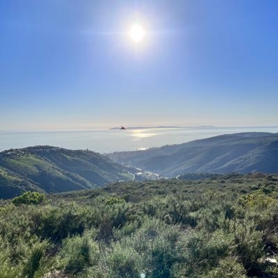 kaydin_stone's profile picture. 