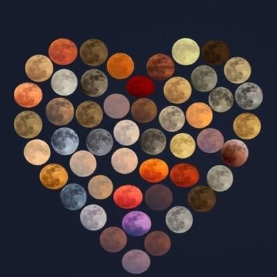 famousamis13's profile picture. The simplest pleasures are sometimes the most extraordinary 🌊✌️❤🐬🏈