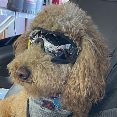 MAGA_pilot's profile picture. Retired