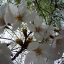 Doreen - @DoreenSimon - Twitter