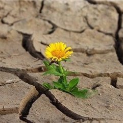 Chinatsu1952744's profile picture. 副業で安定した収入を得る方法を発信中。副業を始めてみたい人にお得な情報を提供。ほんの僅かですが現金配布企画もしております♫ 支援中▶ https://t.co/B87rhYP4Bt