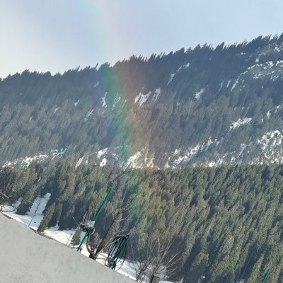 Sanjeev64781259's profile picture. never give up an IITian quality and move earlier than other