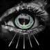 Black Eye Cameras (@black_eye_tech) Twitter profile photo Black Eye Cameras (@black_eye_tech) Twitter profile photo