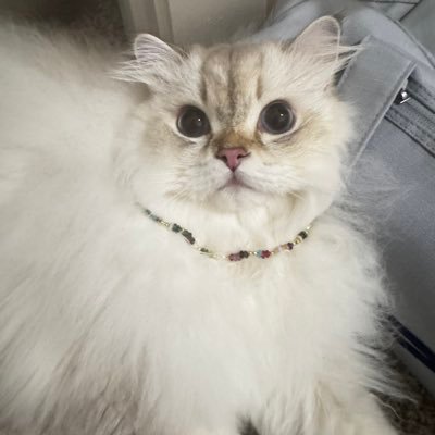 mojamoja_0218's profile picture. 