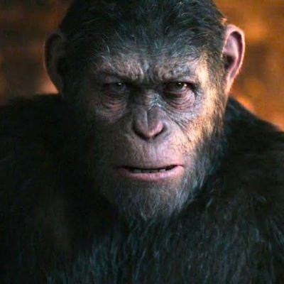 CapMifune's profile picture. tentando ler nas entrelinhas... e saber as verdades que o sistema tenta esconder.