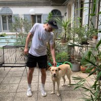 Miha Jensterle (@mhjnstrl) 's Twitter Profile
