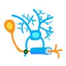 Jiaxingli's profile picture. Neurogliascientist