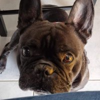 πR lagrange (@pierrelagrang10) 's Twitter Profile