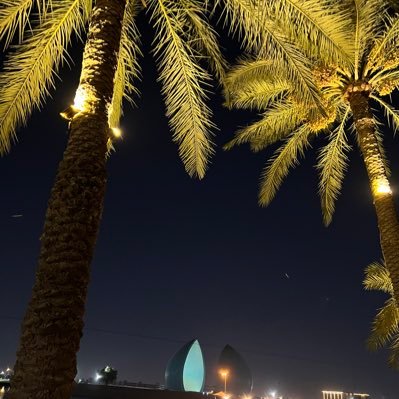 Mowafaq44576213's profile picture. 