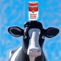 Moodle❤️Soup 🇺🇲 (@moodlesoup1) 's Twitter Profile