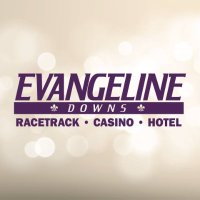 Evangeline Downs (@evdrch) 's Twitter Profile