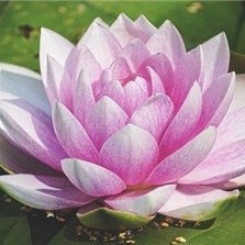 収入アップの秘訣やお得情報などお伝えしたりしています。自身がお金に苦労したので生活に困窮している方の力になれればと思い、ほんの僅かですが現金プレゼント企画をしています☆ フォロワーさん優先▶ https://t.co/r8cvMEiSR7