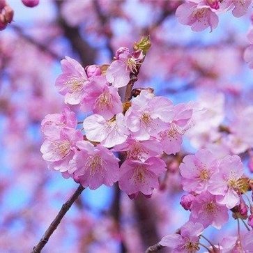 sachika238117's profile picture. 副業で収入を増やすコツを紹介中。副業を始めてみたい人に役立つ情報を提供。多少ですが現金給付企画も実施しております★ 期間限定▶ https://t.co/W8Pu9AQ8Sg