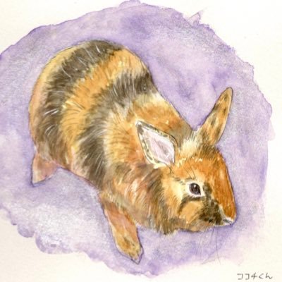 難病(強直性脊椎炎、潰瘍性大腸炎)と折り合いを付けながら、高2.中3♂.小6♀の3人の怪獣、レオパ、ロップイヤー、ライオンヘッド2羽🐰と仲良く暮らしてます❣️子育てダイエット病気の事、何でも呟きます❗️ポケgoポケスリやってます🔍個人的メッセージのやり取りは基本致しません🙅♀️