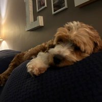 Jeremy Lance (@jeremylance) 's Twitter Profile