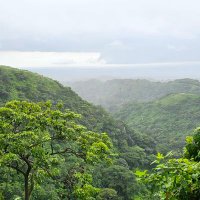 José González (@jag_ojeda) 's Twitter Profile