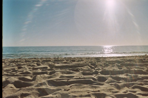 SharonStarfar's profile picture. 