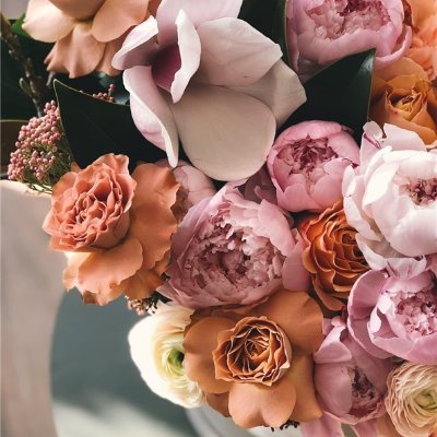 kokomi732548's profile picture. 副業の成功法を発信中。副業初心者に役立つ情報を発信。小規模ですがお金配り企画も実施中♬ なくなり次第終了→ https://t.co/CPwFSdXSie