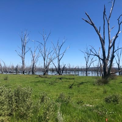 AnitaAnch007's profile picture. 