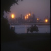 . (@catsforeverxo) 's Twitter Profile