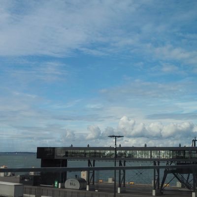 chouxfujiki_'s profile picture. 