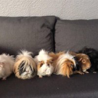 Sven Warminsky (@svenwarminsky) 's Twitter Profile Photo