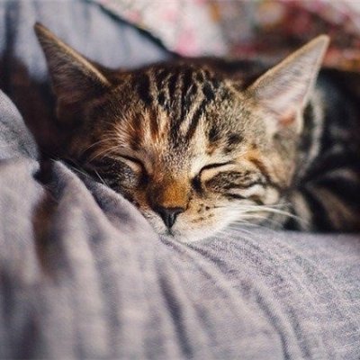 お金の豆知識やおトクな情報など発信したりしています。私自身お金に苦労した経験から生活に苦しんでいる人を救いたいと思い、僅かですが現金プレゼント企画を実施しております☆ 支援中➡ https://t.co/vB0T5Ys2Ii