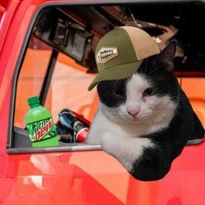 MisesPieces's profile picture. 