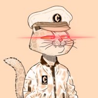 Meowptain (@meowptain) 's Twitter Profile Photo Meowptain (@meowptain) 's Twitter Profile Photo