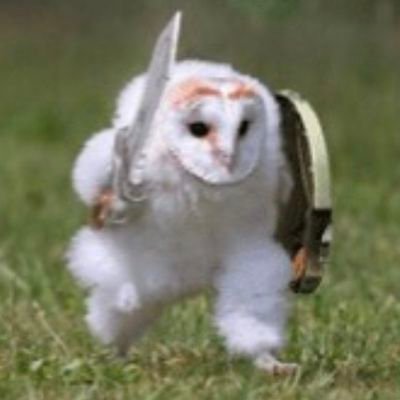 autoscorer___'s profile picture. si