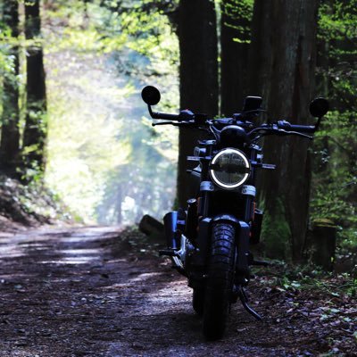 flaccida_'s profile picture. バイクとカメラとラブライブとたまに登山と植物と VERSYS-X 250、Svartpilen 401 旅先の写真を上げたりします