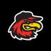 Rochester Red Wings (@rocredwings) Twitter profile photo Rochester Red Wings (@rocredwings) Twitter profile photo