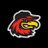 Rochester Red WWWWWings