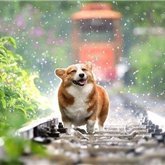 収入アップ実践テクニックやおトクな情報など紹介中。自分自身お金に苦労した経験からお金に困窮している方を助けたいと思い、少額ですが現金プレゼント企画を実施しております♫ 支援中→ https://t.co/1QXAFBKffz