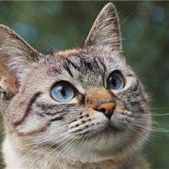 副業で収入を増やすコツを発信中。副業を始めてみたい人に役立つ情報を発信。少しですが現金配布企画も始めました♬ 期間限定⇒ https://t.co/mun8ugDn7a