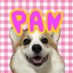 ぱん🐶🍞コーギー (@syokupancorgi24) Twitter profile photo ぱん🐶🍞コーギー (@syokupancorgi24) Twitter profile photo