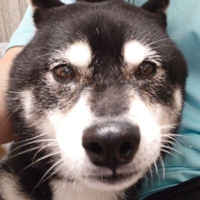 最近使ってないのでARIAの妊活垢にしました。 (主に運動記録とか) 大体YouTube動画で運動してます。ダイエット中や妊活中、ママ垢の人も大歓迎です✨ タメ語️⭕️で話したい方は声掛けてください😊(メイン垢の人も歓迎)