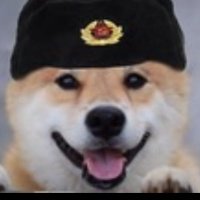 COMMUNIST D🐶G (@communist_dog) 's Twitter Profile