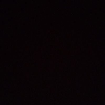 ntans's profile picture. 🫧☃️🥕🍍🥭💚